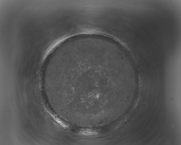 X0000085841311200703161340