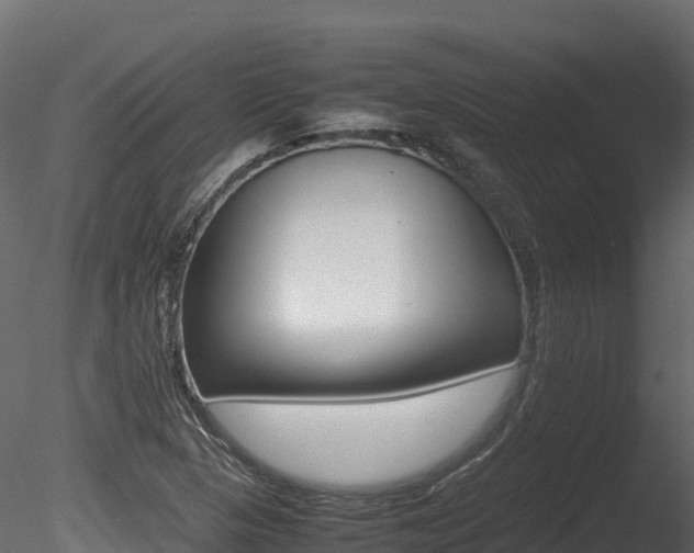 X0000085841313200703161340