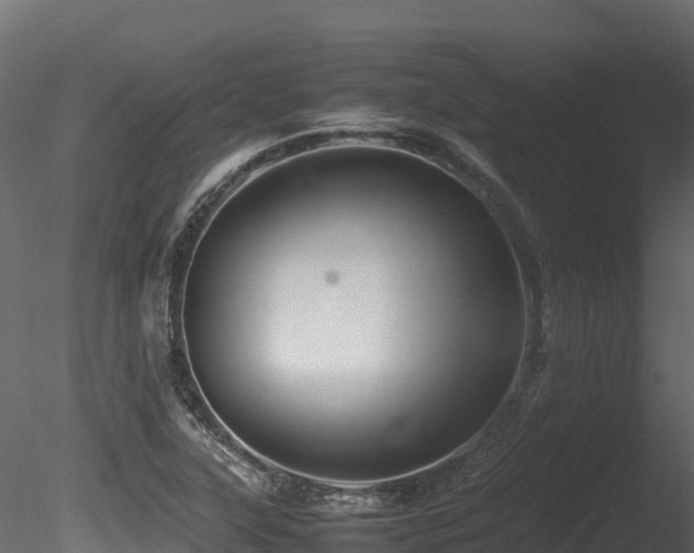X0000085841315200703161340
