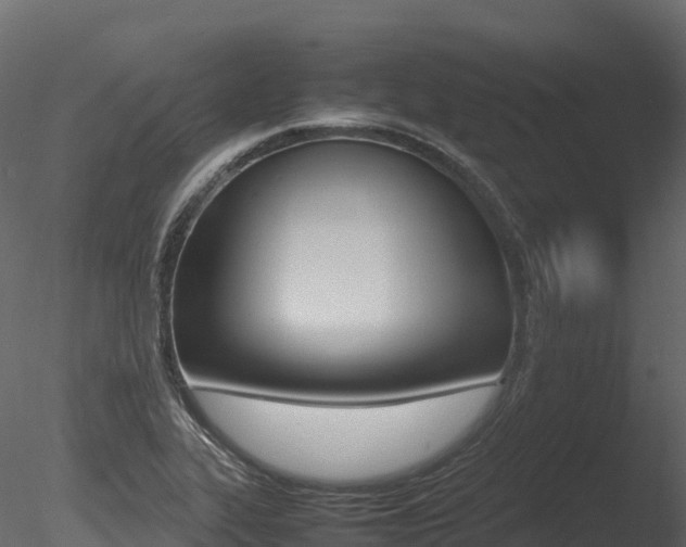 X0000085841319200703161340