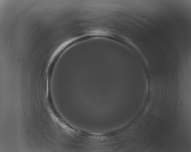 X0000085841323200703161340