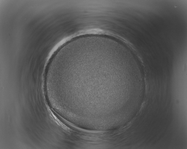 X0000085841326200703161340