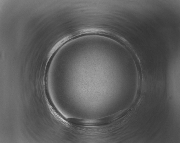 X0000085841330200703161340