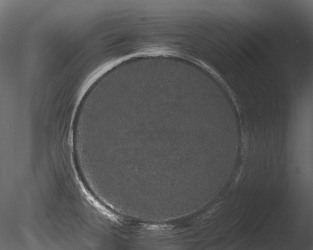 X0000085841335200703161340