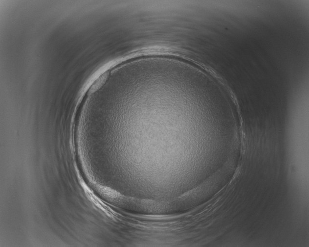 X0000085841342200703161340
