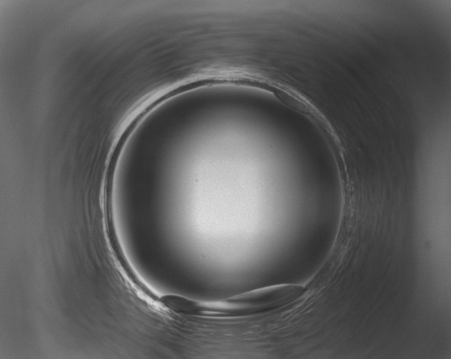X0000085841343200703161340