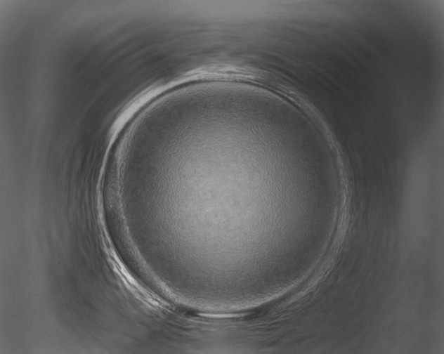 X0000085841344200703161340