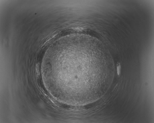 X0000085841347200703161340