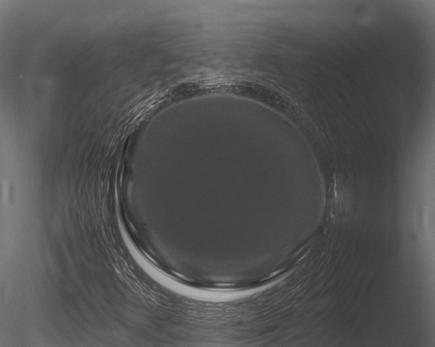 X0000085841348200703161340