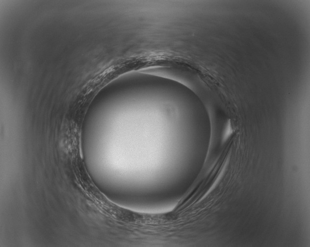 X0000085841349200703161339