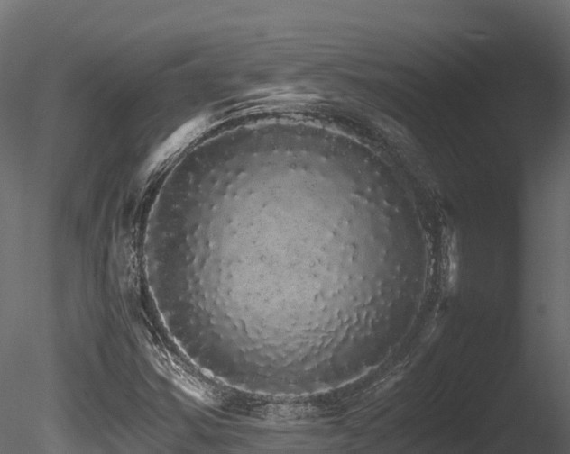 X0000085841354200703161339