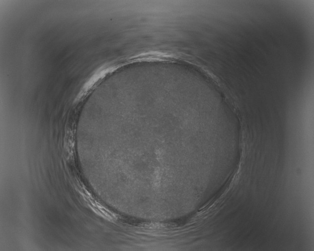 X0000085841355200703161339