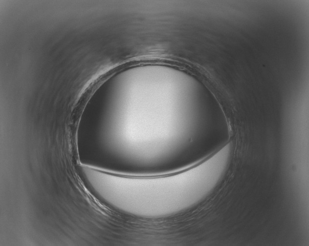 X0000085841356200703161339