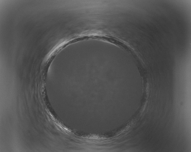 X0000085841359200703161339