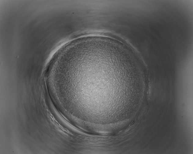 X0000085841360200703161339