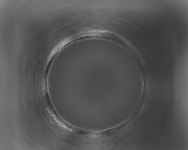 X0000085841362200703161339