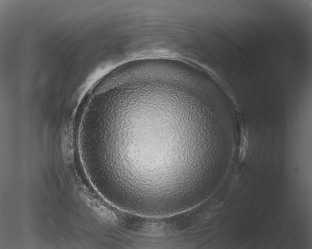 X0000085841364200703161339