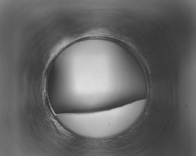 X0000085841366200703161339