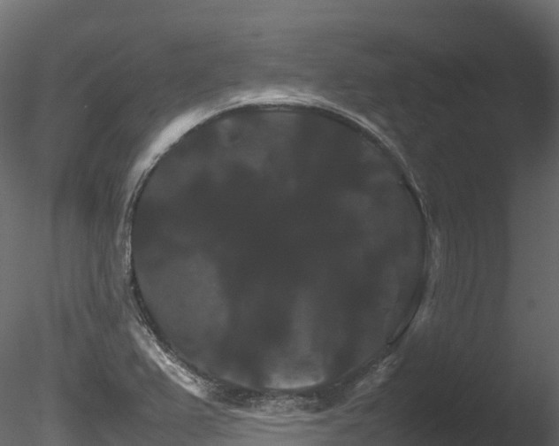 X0000085841367200703161339