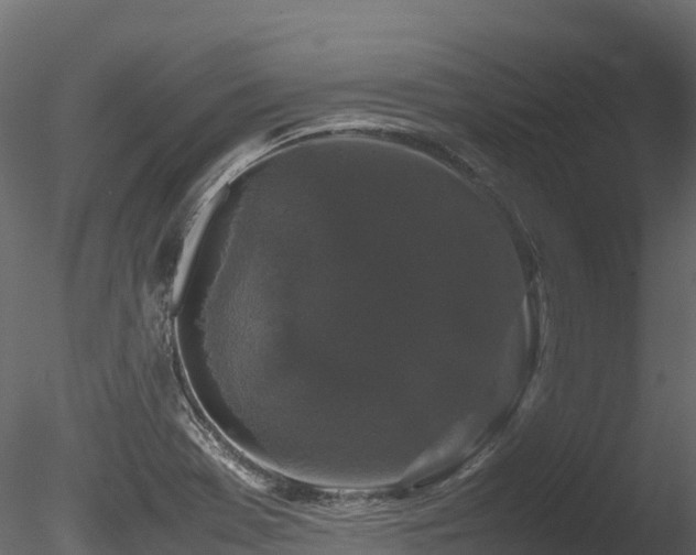 X0000085841369200703161339