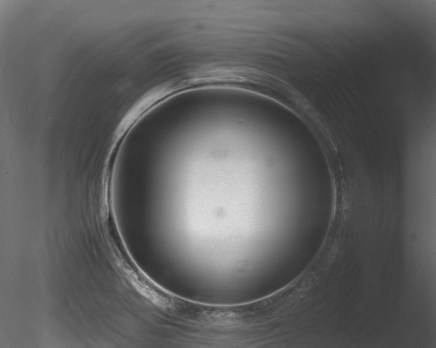 X0000085841370200703161339