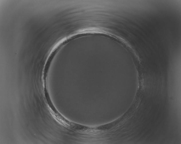 X0000085841372200703161339