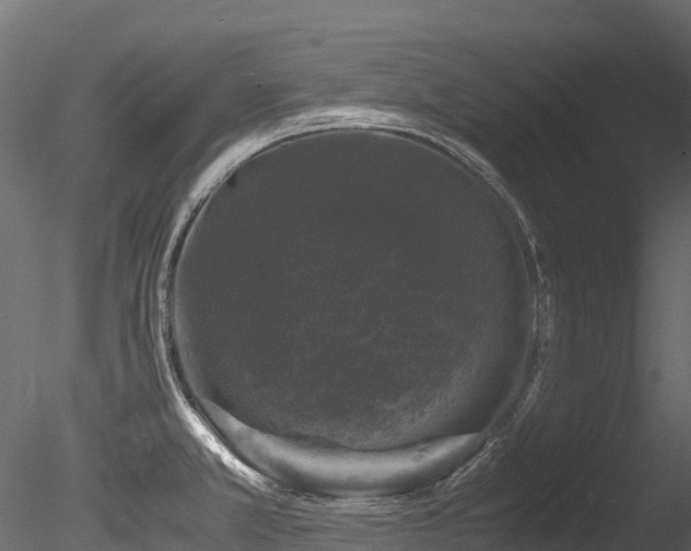 X0000085841381200703161339