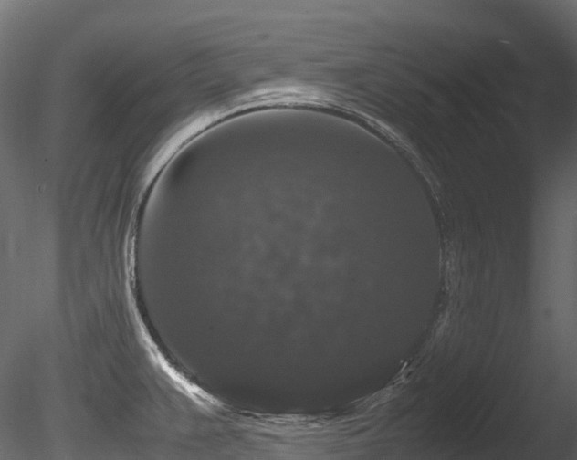 X0000085841383200703161339