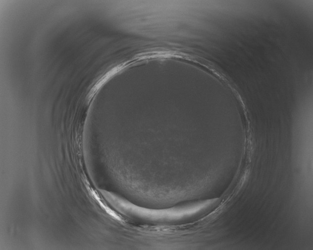 X0000085841385200703161339