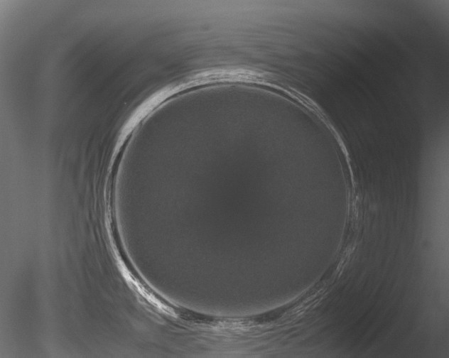X0000085841389200703161339