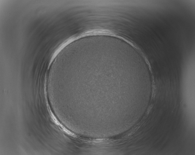 X0000085841390200703161339