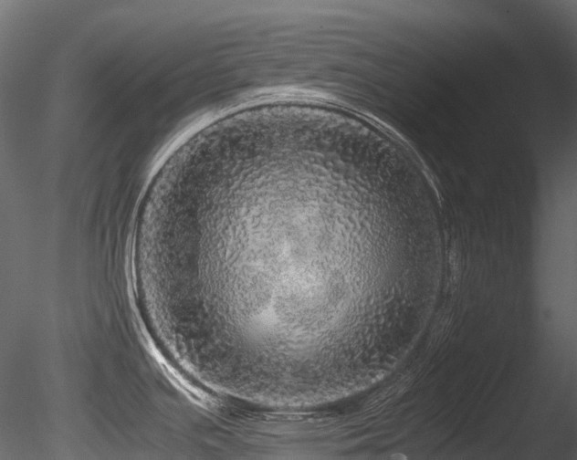 X0000085841391200703161339