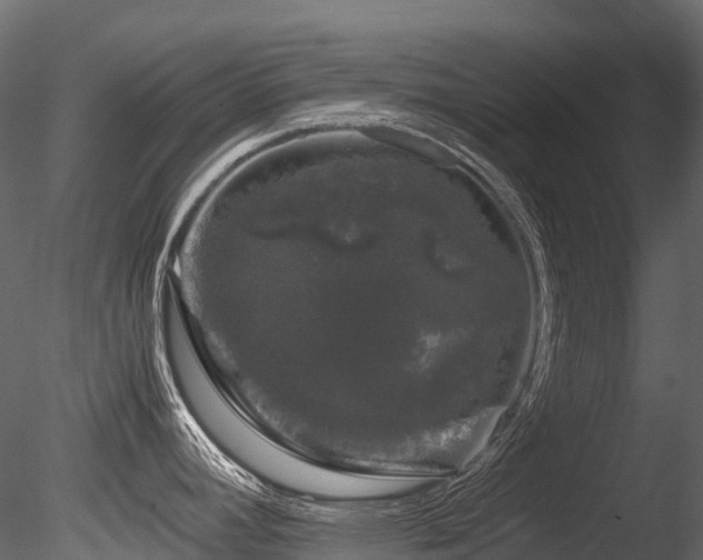 X0000085841392200703161339