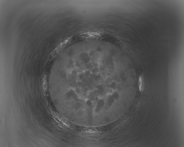 X0000085841395200703161338