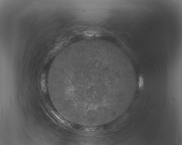 X0000085841396200703161338