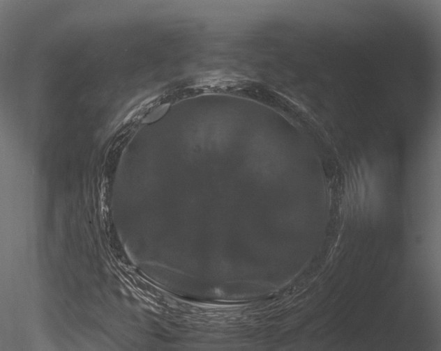 X0000085841399200703161338