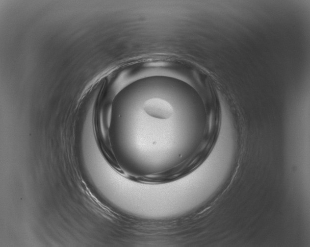 X0000085841402200703161338