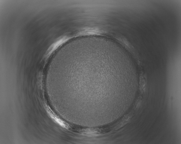 X0000085841404200703161338