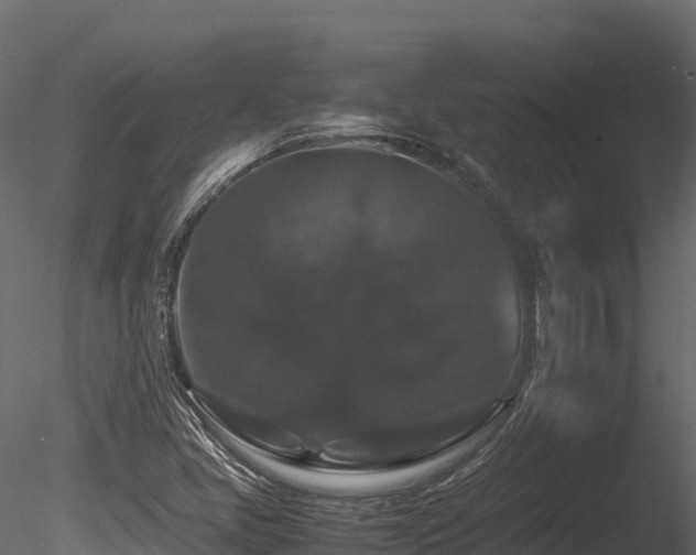 X0000085841405200703161338