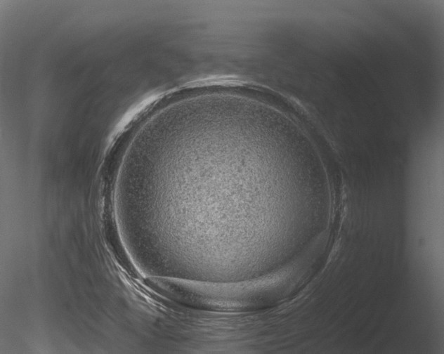 X0000085841406200703161338