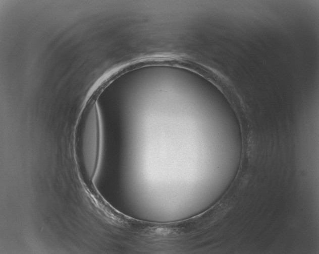 X0000085841412200703161338