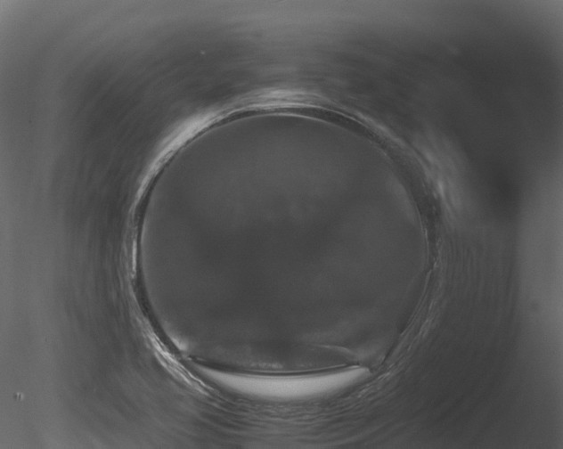 X0000085841413200703161338