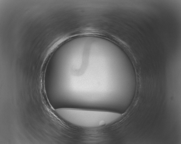 X0000085841415200703161338