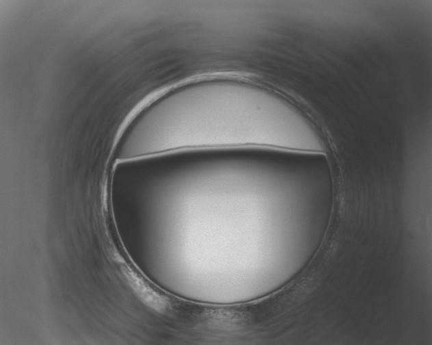 X0000085841420200703161338