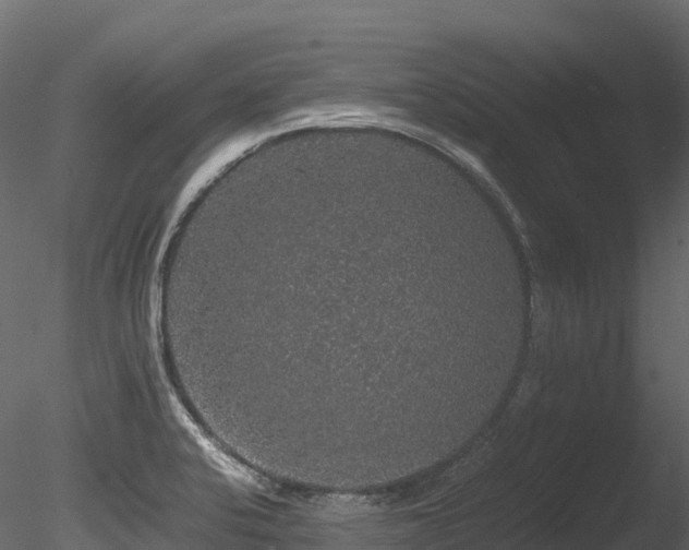 X0000085841424200703161338