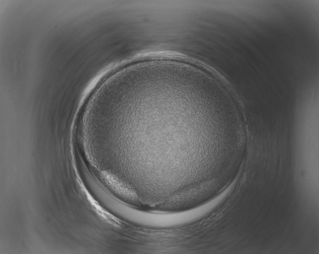 X0000085841430200703161339