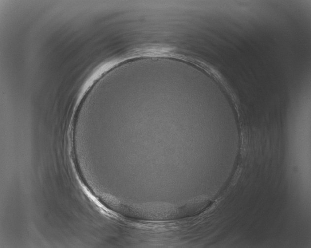 X0000085841432200703161339
