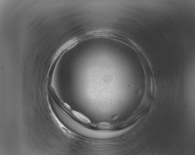 X0000085841434200703161339