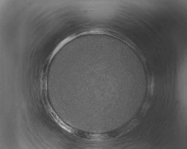 X0000085841436200703161339