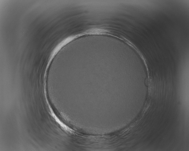 X0000085841437200703161339